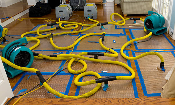 Professional Basement Flood Cleanup technician working in Arcadia, CA